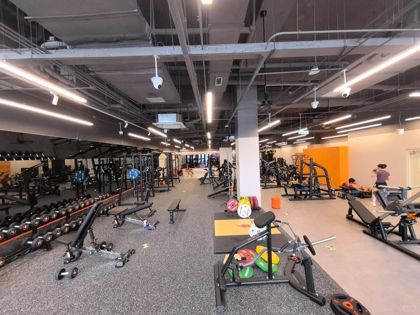 Indoor fitness club with separate machine and free-weight areas