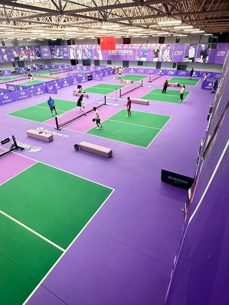 Indoor badminton courts with green play areas and purple surrounds